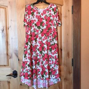NWOT LuLaRoe Carly Dress. Size Large